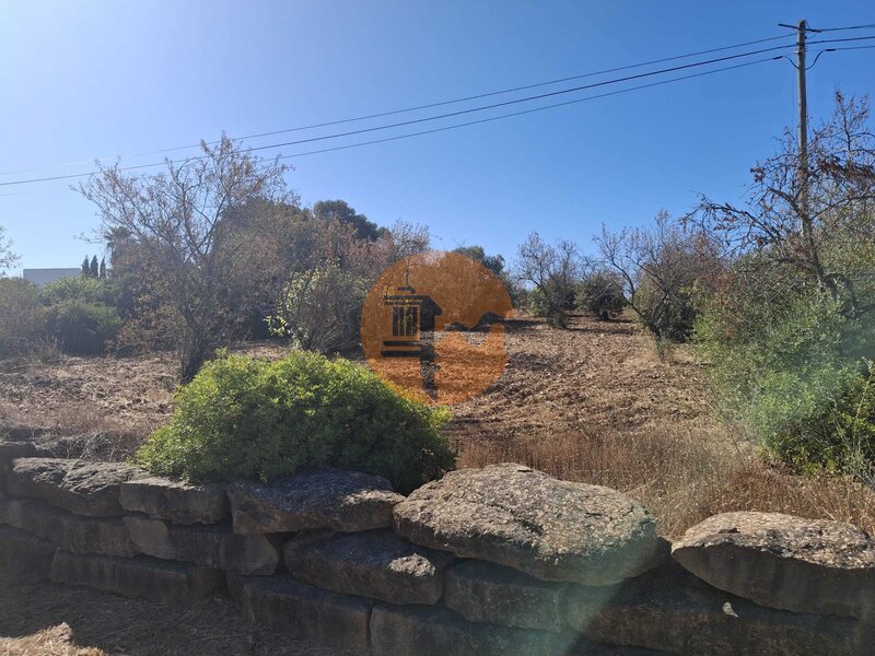 Terreno with 6750sqm Corotelo São Brás de Alportel - agua, furo