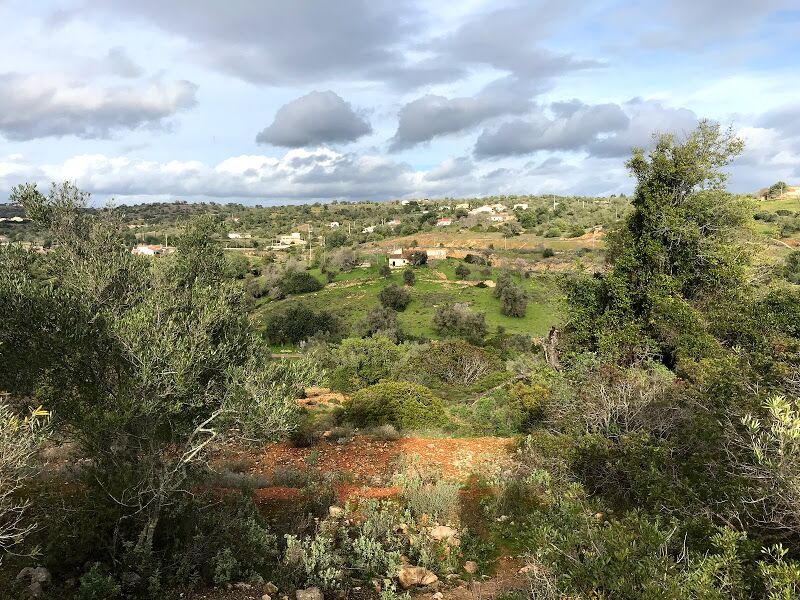 Terreno Rústico plano Canais Silves - excelente vista, oliveiras, electricidade