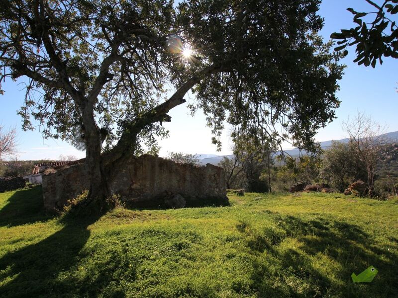 Land Urban with 468.50sqm Mesquita São Brás de Alportel - water, construction viability, mains water, electricity