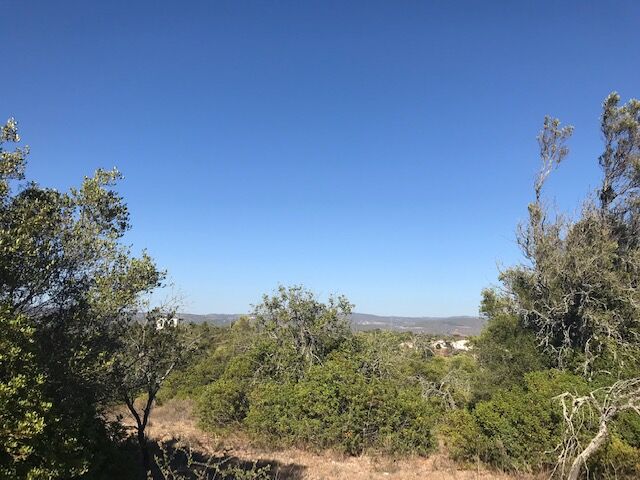 Land Rustic with 8520sqm Guiné Paderne Albufeira - electricity