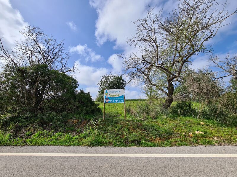 Land Rustic flat Ataboeira Ferreiras Albufeira - water hole, fruit trees, electricity