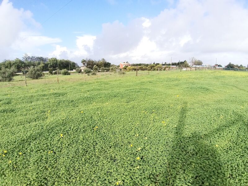 Land Rustic with 3080sqm Areias de Pêra Silves - arable crop, electricity, water, mains water