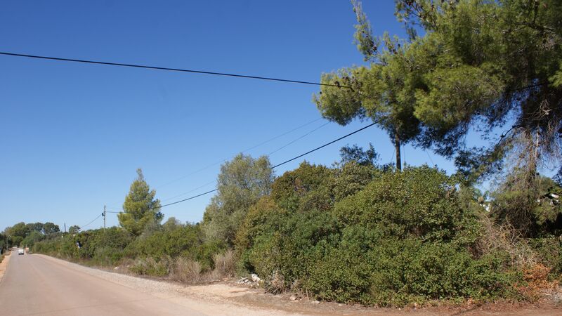 Plot of land with 4900sqm Foral Silves - water, electricity