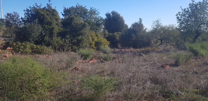 Land with 3225sqm Olhos de Água Albufeira - ,