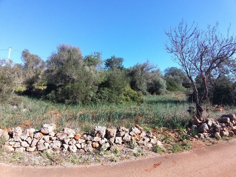 Land with 5840sqm Barrocal São Bartolomeu de Messines Silves - ,