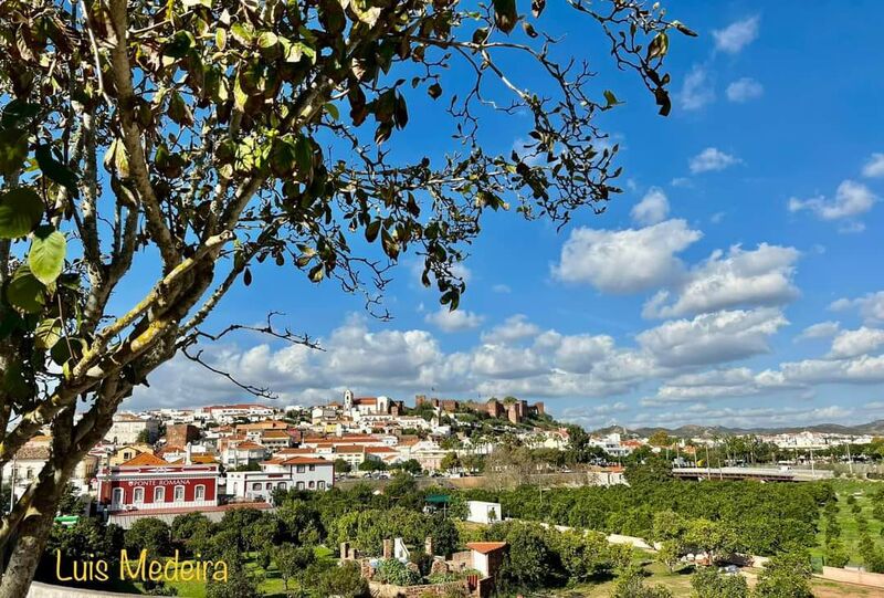 земля загородный c 9840m2 Vale da Vila Silves - электричество, вода, вода колодец, колодец