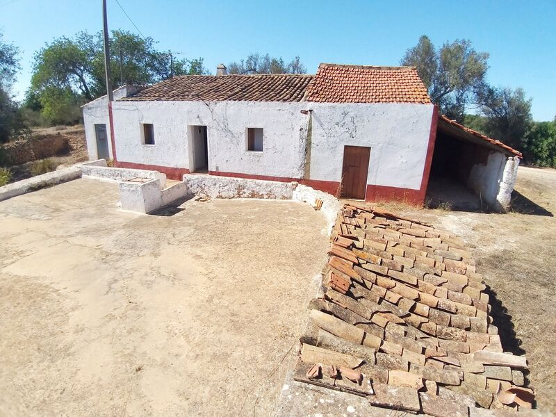 Quinta V3 Poço do Gueino São Bartolomeu de Messines Silves - cultura arvense