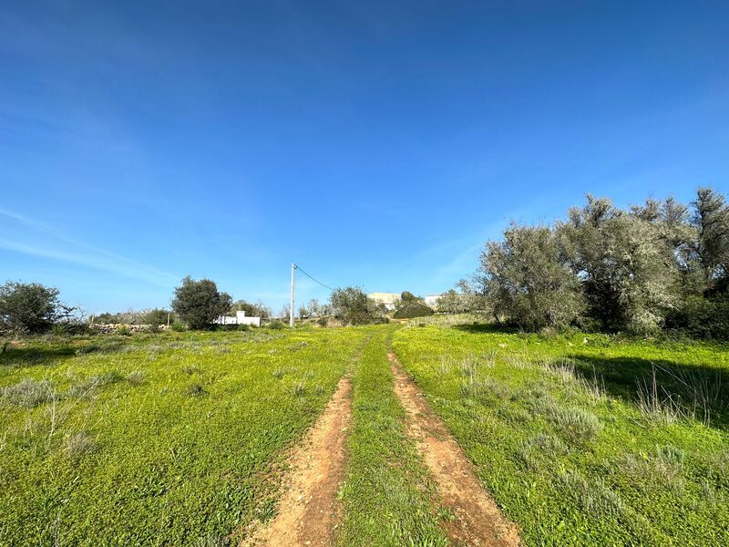 Terreno Agrícola com 24760m2 Alcantarilha Silves - água, electricidade