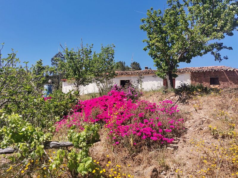 Quinta com casa V2 Foz do Besteiro Marmelete Monchique - água, árvores de fruto, electricidade