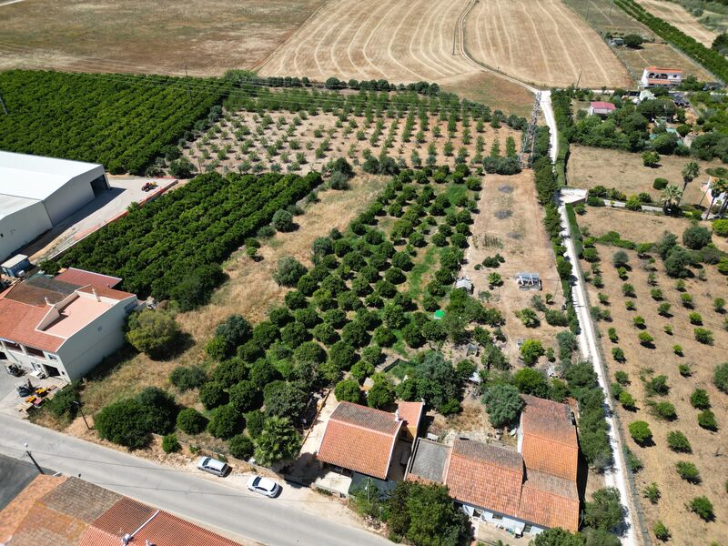 House V3 Single storey Fontes da Matosa Silves - terrace