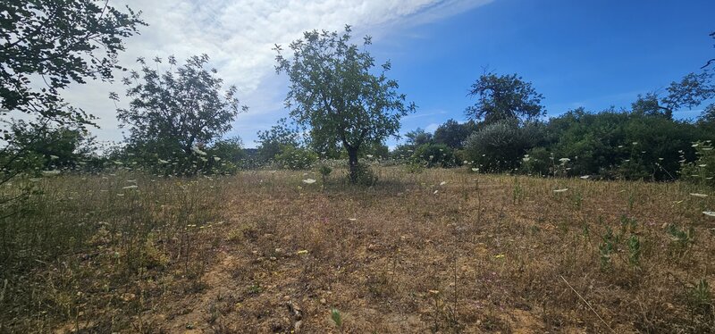 Land with 8700sqm São Clemente Loulé - good access