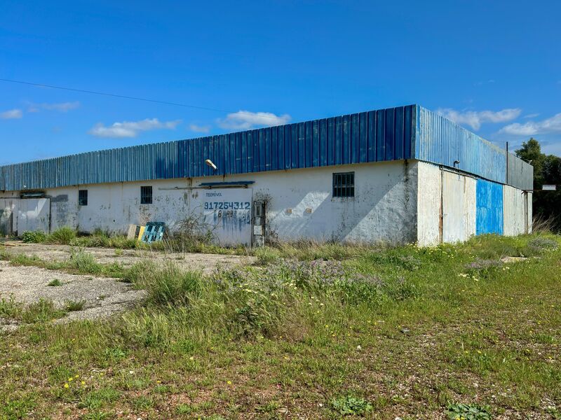 Farm V8 Paço Silves - great location, water, water hole