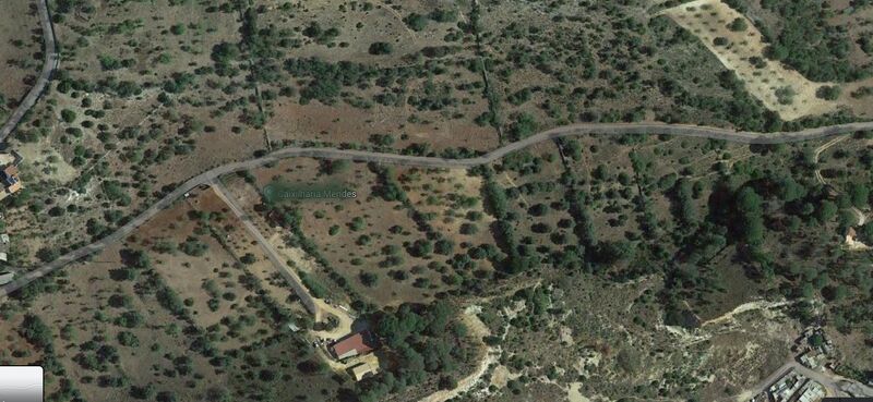 Terreno Rústico com 7880m2 Vale de Pegas Paderne Albufeira - oliveiras, electricidade, poço