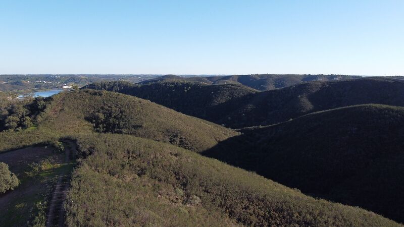 Land Agricultural with 70480sqm Silves