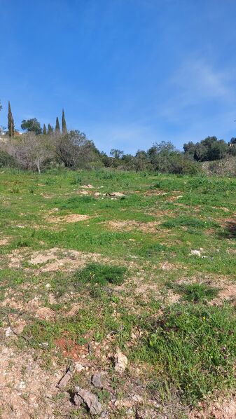 Plot of land with 649.40sqm Silves