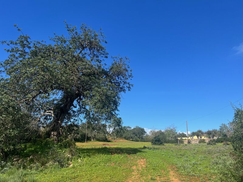Land Rustic with 13160sqm Ferreiras Albufeira - electricity, great location, mains water, water