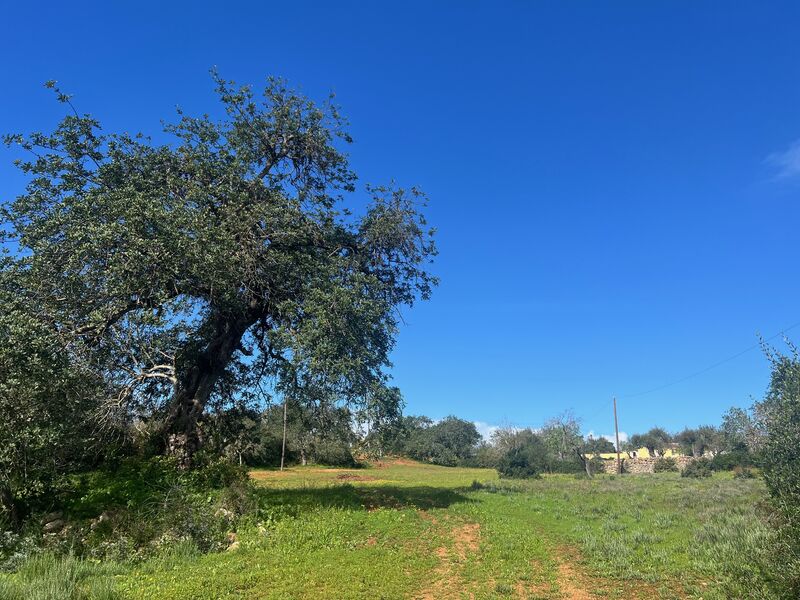 земля загородный c 13160m2 Ferreiras Albufeira - электричество, великолепное месторасположение, вода кампания, вода