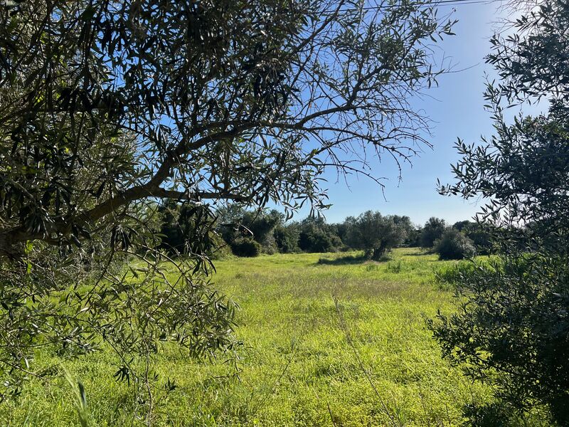 земля загородный c 5200m2 Albufeira - вода кампания, электричество, вода