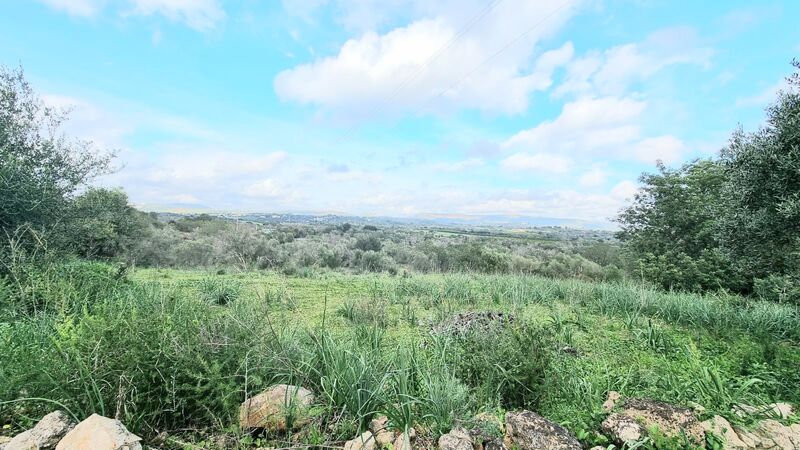 Land Rustic with 3650sqm Silves - electricity