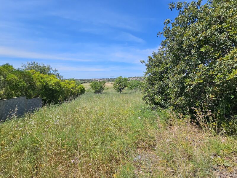 Land with 10424sqm Silves