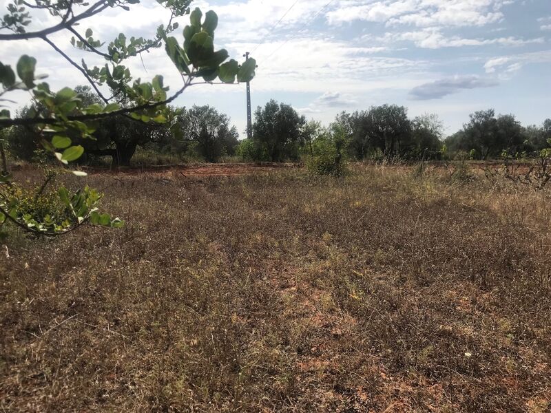 Land Rustic with 2980sqm Alcaria Paderne Albufeira