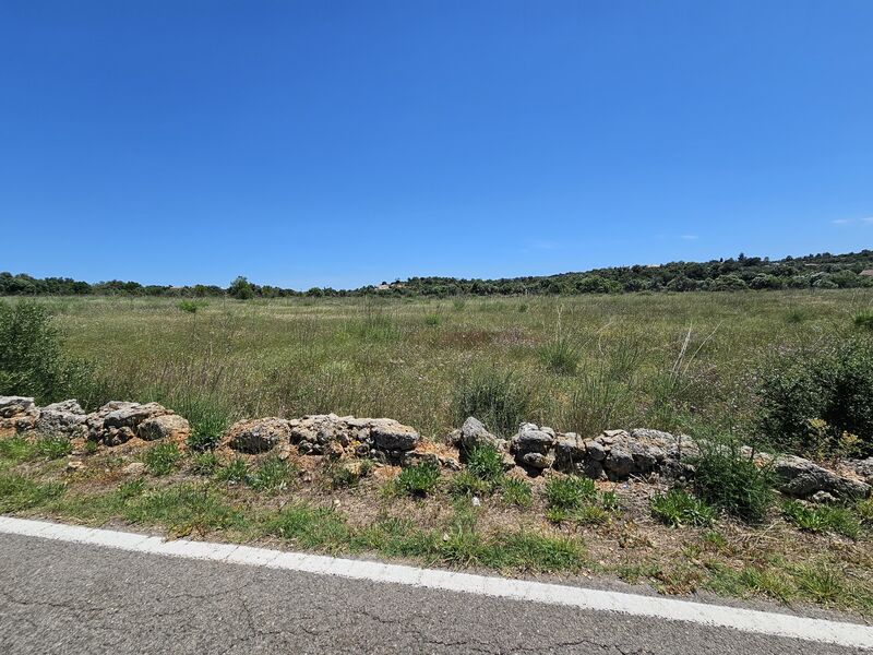 Terreno Rústico com 17475m2 Silves - cultura arvense, oliveiras, bom acesso, excelente localização, electricidade