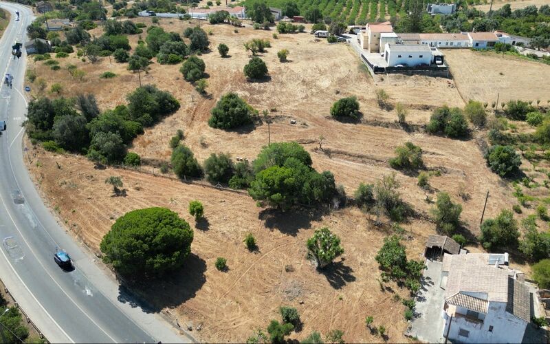 Land Rustic with 2360sqm Lombos Lagoa (Algarve) - arable crop, electricity