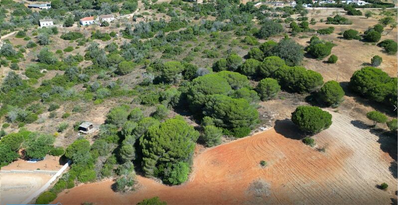 Land Rustic with 10540sqm Armação de Pêra Silves - arable crop, electricity
