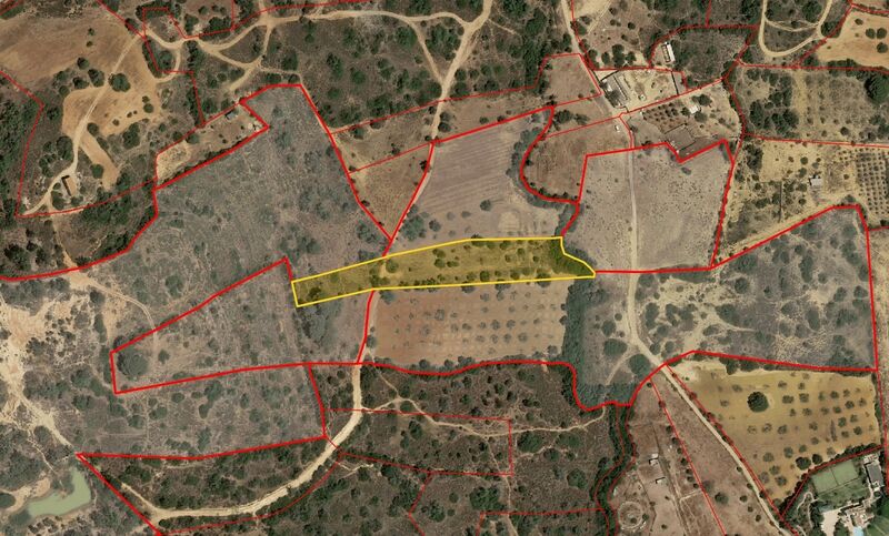 Land Rustic with 4810sqm Silves - electricity