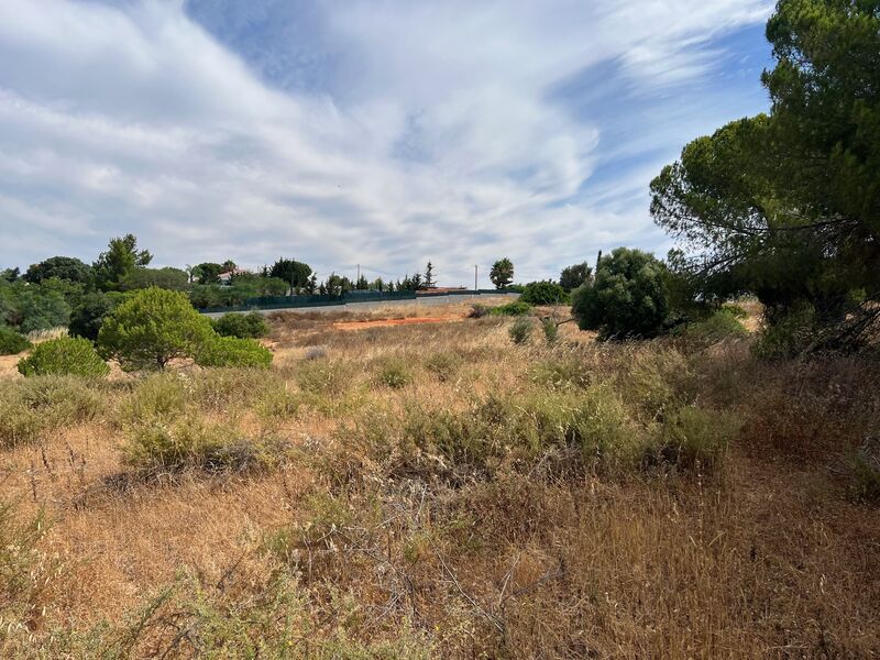 Terreno Agrícola com 16540m2 Albufeira