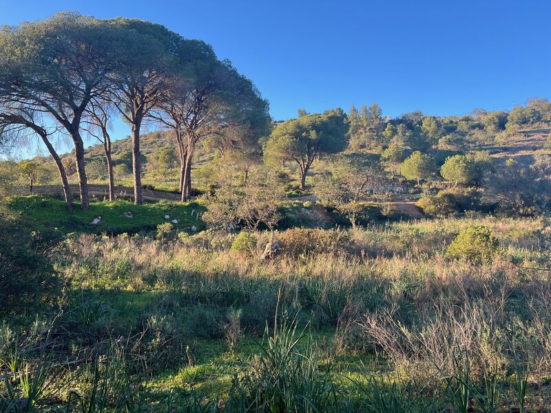 Land Rustic with 5240sqm Vale de Pegas Paderne Albufeira - electricity