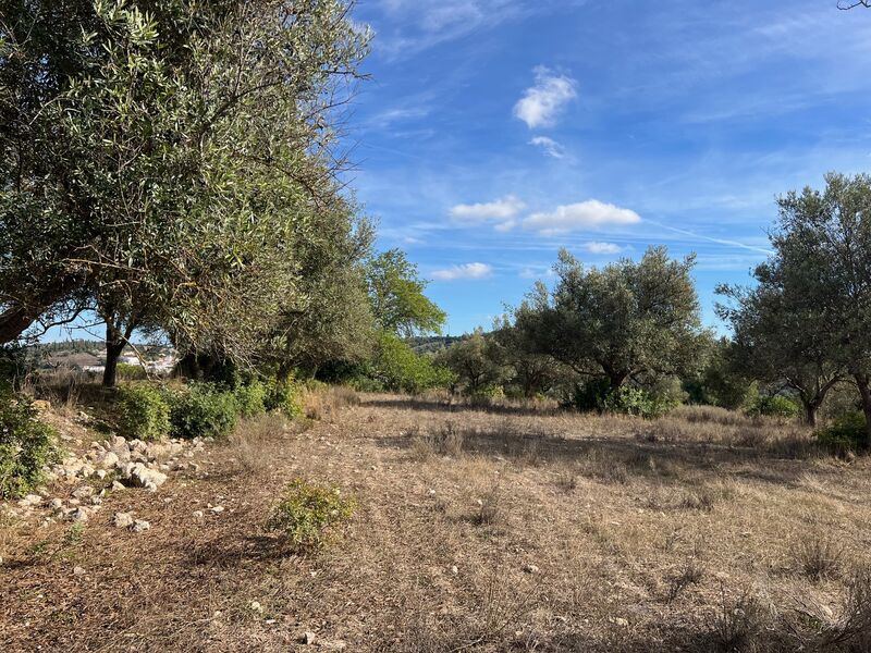 Land with 10134sqm Purgatório Paderne Albufeira - , ,
