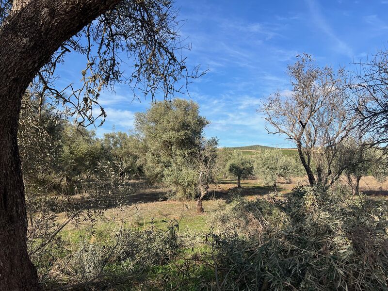 Land with 3360sqm Paderne Albufeira