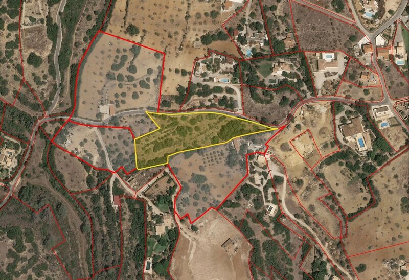 Land Rustic with 7050sqm Lagoa (Algarve) - electricity, water