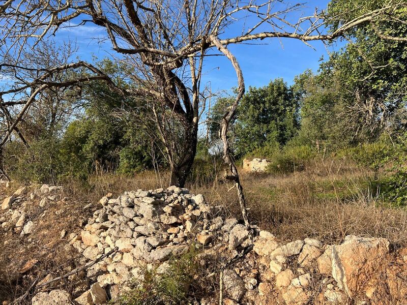 Land Rustic with 3240sqm Cerca Velha Paderne Albufeira - water, mains water