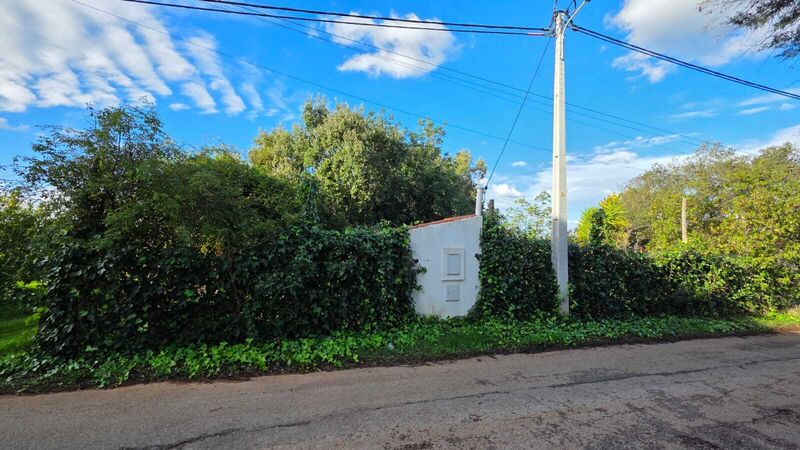 Land Agricultural with 11560sqm Alcantarilha Silves - water, water hole, electricity, easy access