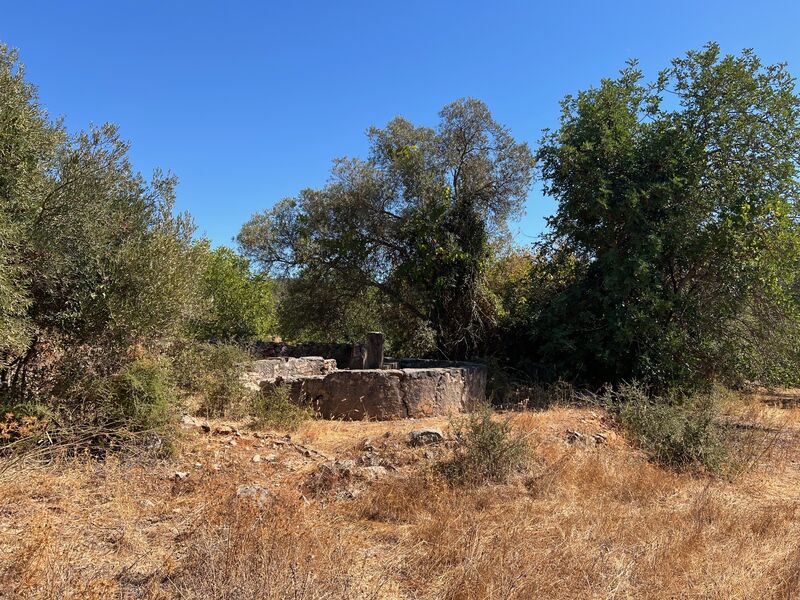 Land Rustic with 6040sqm Paderne Albufeira - water, mains water, well, electricity, water hole