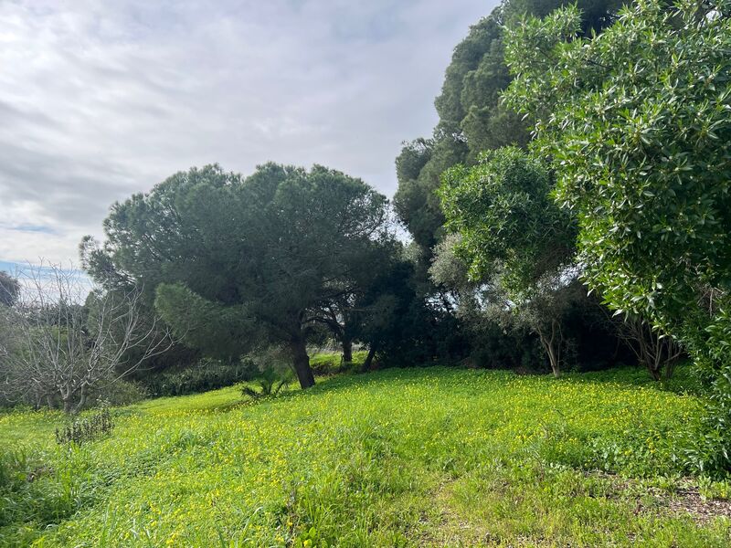 Terrain with 1625sqm Guia Albufeira