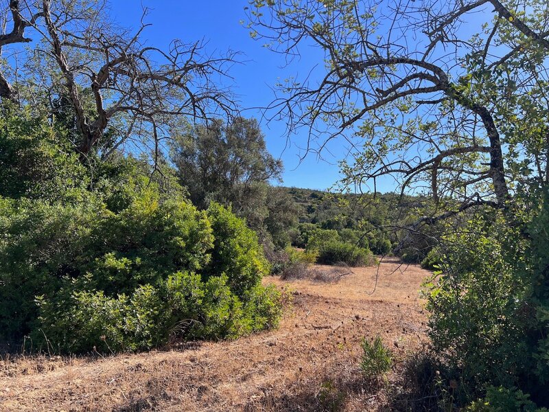 Land Rustic with 9760sqm Paderne Albufeira