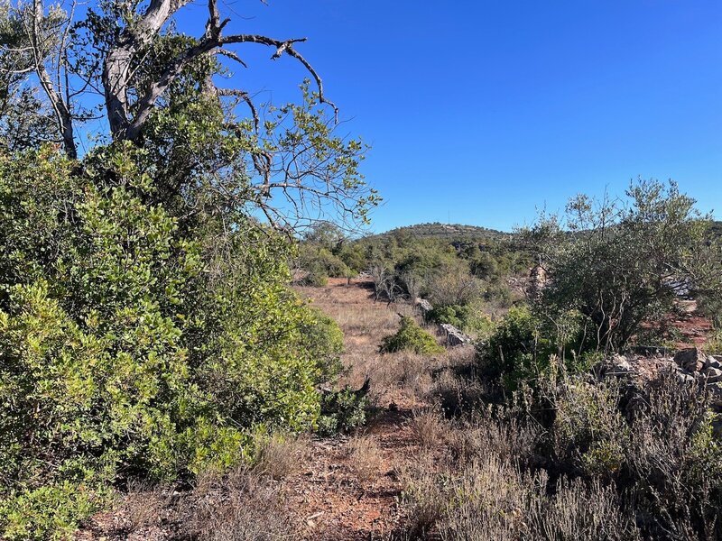 Land Rustic with 12750sqm Paderne Albufeira - electricity