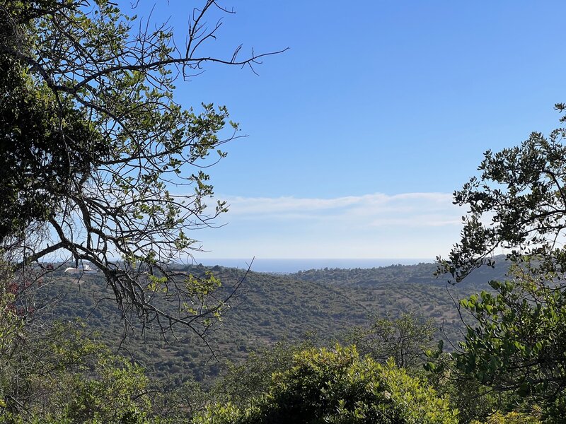 Land Rustic with 7000sqm Paderne Albufeira - electricity