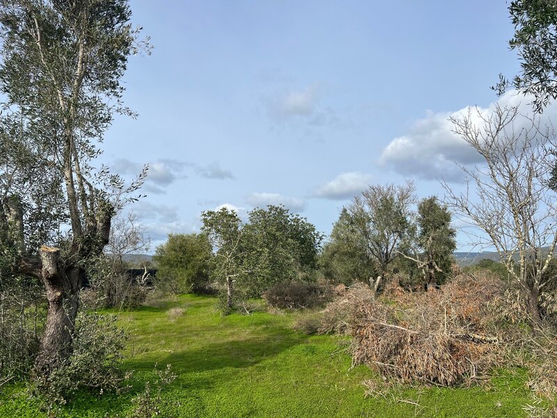 Land Rustic with 1680sqm Alcaria Paderne Albufeira - electricity
