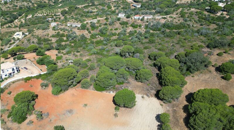 Land Rustic with 10540sqm Armação de Pêra Silves - arable crop, electricity