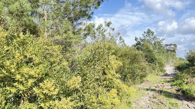 Land Agricultural with 1428000sqm Aljezur - water, water hole