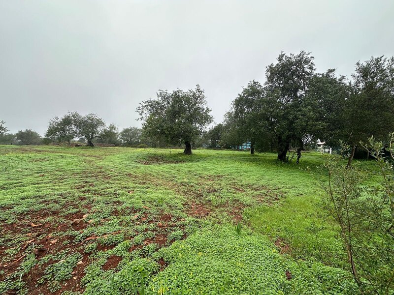 Land flat Ferreiras Albufeira