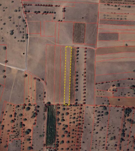 Land Agricultural with 4800sqm Lentiscais Paderne Albufeira - electricity
