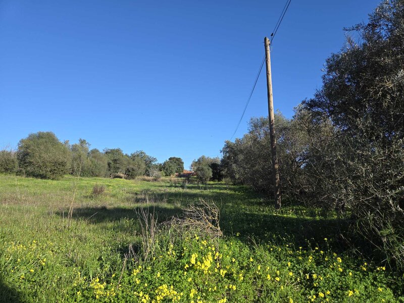 Land Agricultural with 1160sqm Paderne Albufeira - electricity, good access