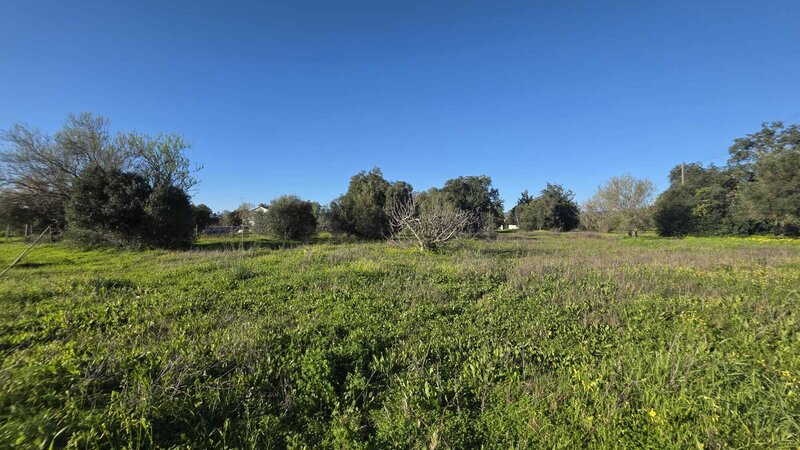 Land Agricultural with 1280sqm Paderne Albufeira - good access, olive trees