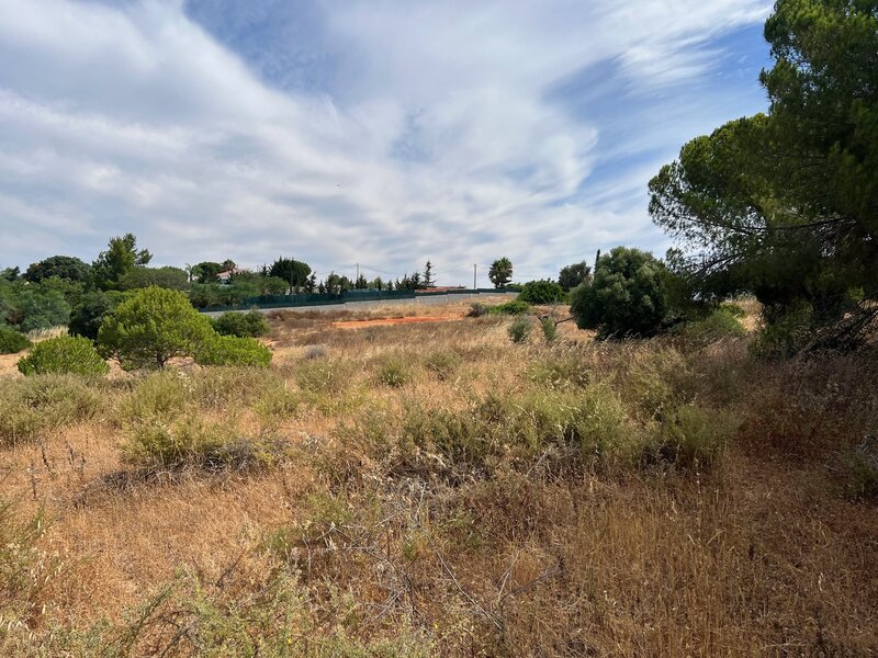 Terreno Rústico with 16540sqm Ferreiras Albufeira - pozo