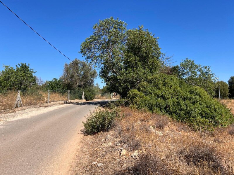 Land Rustic with 7145sqm Canais Ferreiras Albufeira - water, easy access, mains water, electricity, great location